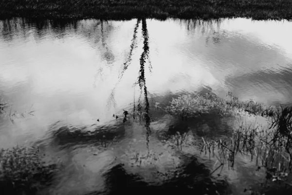 Landscape Biebrza Marshes Podlasie Poland — Stock Photo, Image