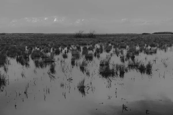 Paisagem Dos Pântanos Biebrza Podlasie Polônia — Fotografia de Stock