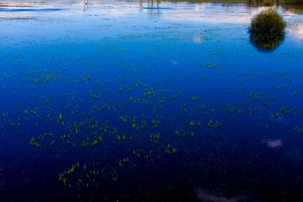 Paysage Des Marais Biebrza Podlasie Pologne — Photo