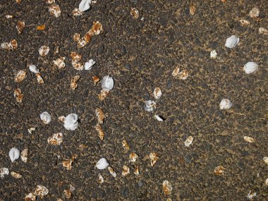 Köydeki eski asfalt.