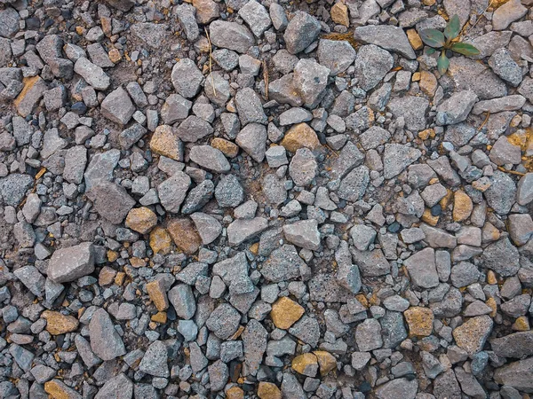 村里的砾石 — 图库照片