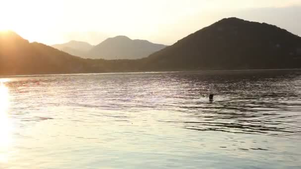 Naplementében Lake Szkadari — Stock videók