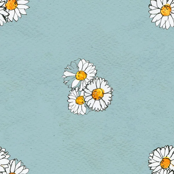 Seamless floral pattern with daisy flowers