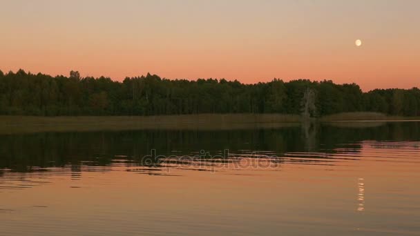 Full moon återspeglar i en sjö. — Stockvideo