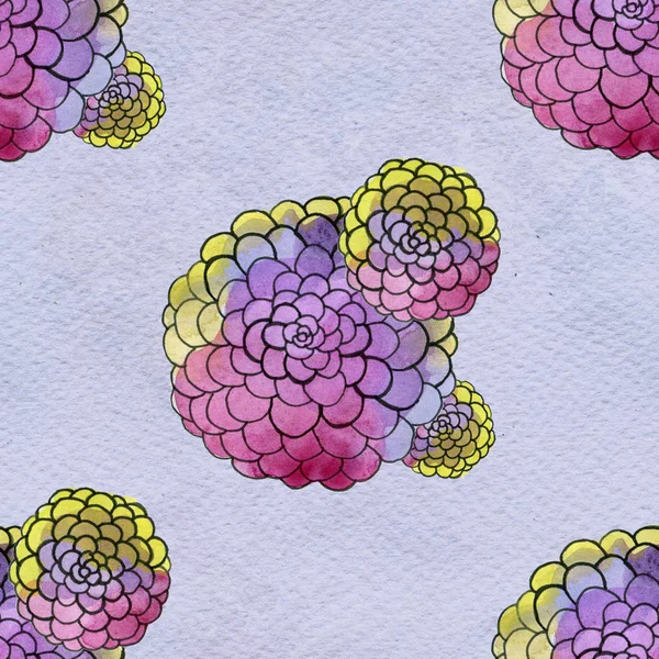 Απρόσκοπτη floral μοτίβο με asters — Φωτογραφία Αρχείου