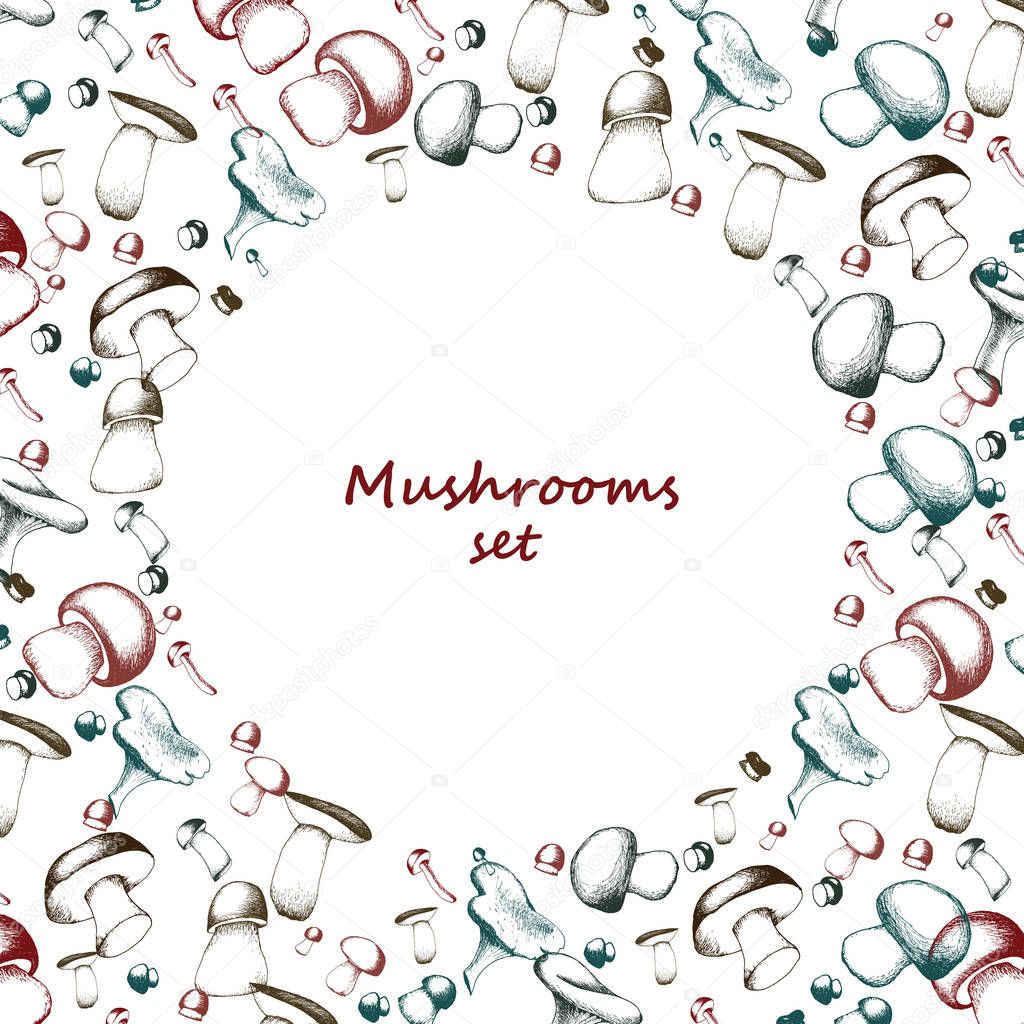Mushrooms arranged in frame