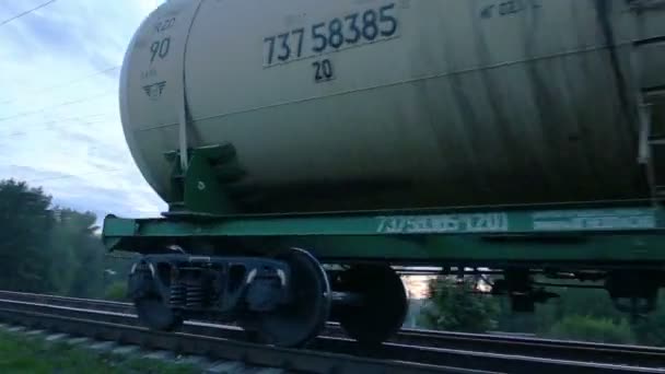 Goederentrein met lading containers passerende — Stockvideo