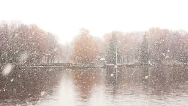Winterstadt. Schnee fällt im Park — Stockvideo