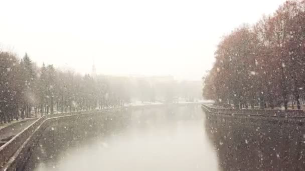 冬の街。公園に雪が降りました — ストック動画