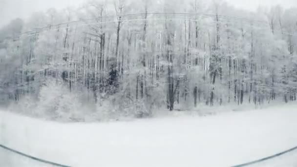 Θέα από το παράθυρο του τρένου στο τοπίο του χειμώνα. — Αρχείο Βίντεο