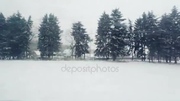 Vista da janela do trem para a paisagem de inverno . — Vídeo de Stock