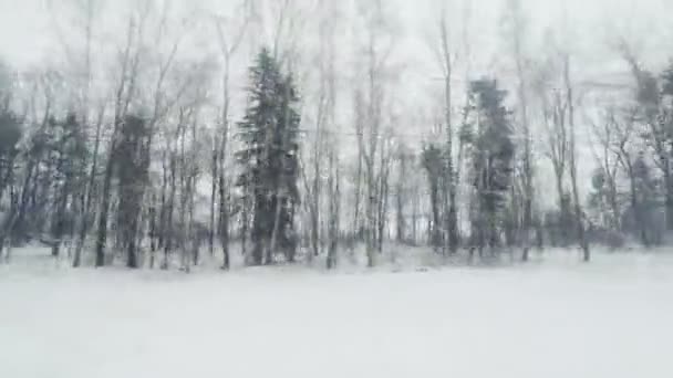 Blick aus dem Zugfenster auf die Winterlandschaft. — Stockvideo