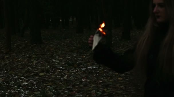 Gotiska flicka burning sidorna i boken — Stockvideo
