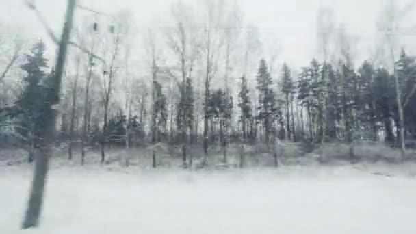 列車の窓から冬の風景を見る. — ストック動画