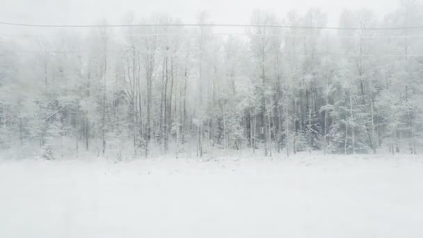 Vue de la fenêtre du train au paysage hivernal . — Video