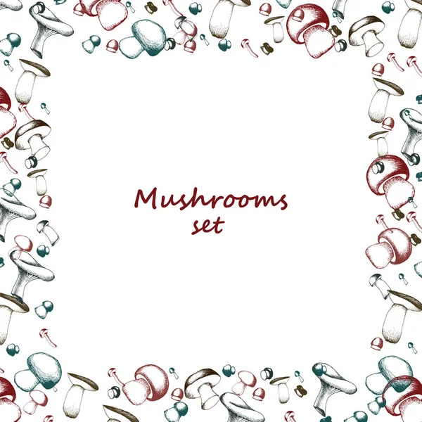 Cogumelos dispostos em moldura — Vetor de Stock