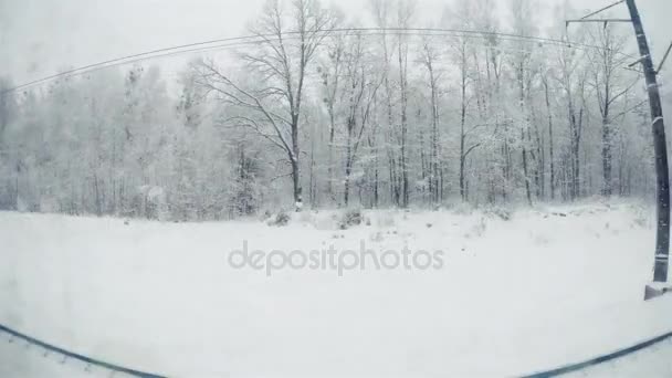 Blick aus dem Zugfenster auf die Winterlandschaft. — Stockvideo
