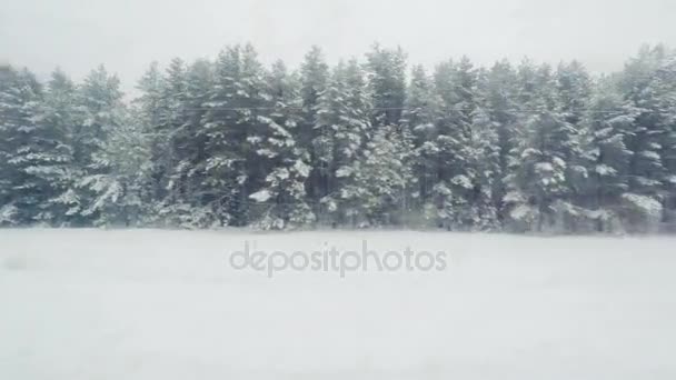 View from the train window to the winter landscape. — Stock Video