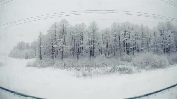 Vista desde la ventana del tren al paisaje invernal . — Vídeos de Stock