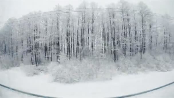 겨울 풍경 열차 창에서 보기. — 비디오