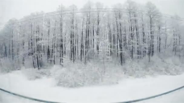 Blick aus dem Zugfenster auf die Winterlandschaft. — Stockvideo