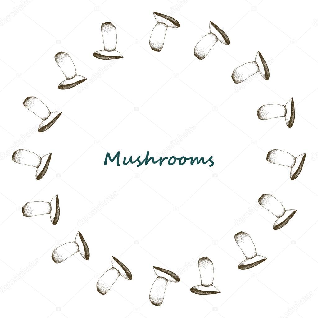 Mushrooms arranged in frame