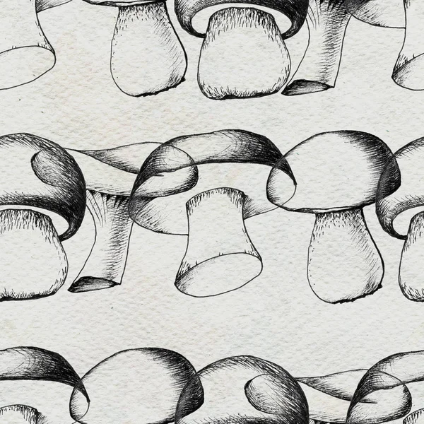 Ручной рисунок с грибами . — стоковое фото