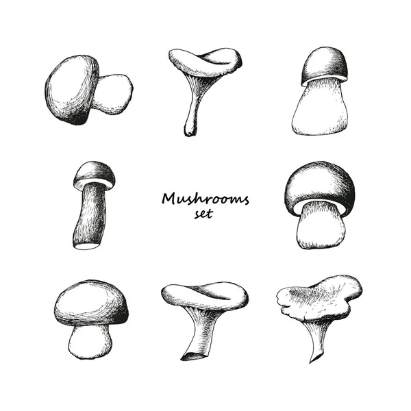 Handgezeichnete Pilze — Stockvektor
