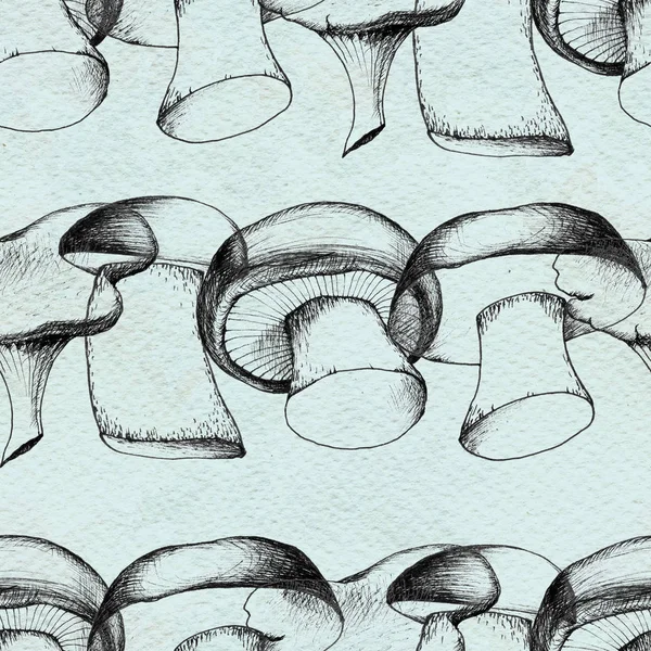 Ручной рисунок с грибами . — стоковое фото