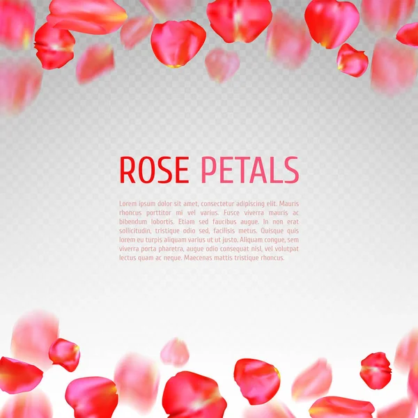 Лепестки роз — стоковый вектор