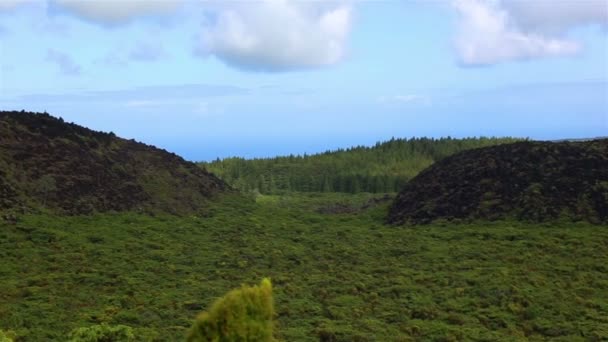 Pola z niebieskim niebem i chmury w pobliżu gruta do Natal w gminie Praia da Vitoria, na wyspie Terceira — Wideo stockowe