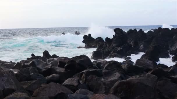Lava kövek a strandon Piscinas Naturais Biscoitos. Atlanti-óceán. Terceira Azori-szigetek, Portugália. — Stock videók