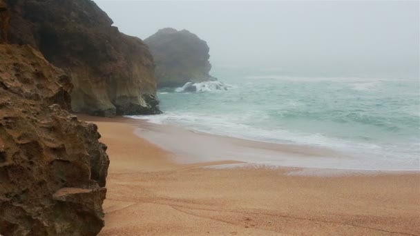 Sea and sandy beach in dense fog, autumn day — Stock Video