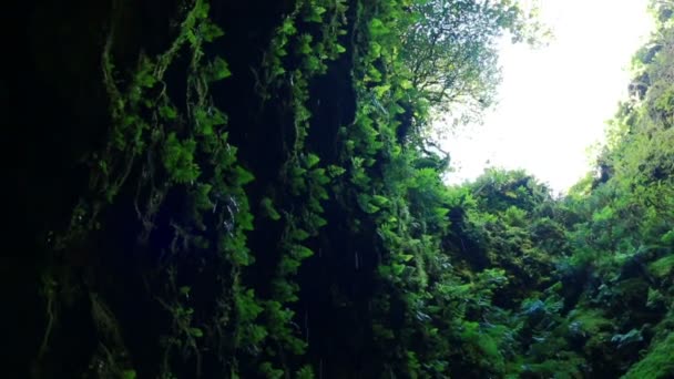 Caverna em um vulcão extinto na ilha Terceira Gruta do Algar do Carvao. Açores, Portugal — Vídeo de Stock