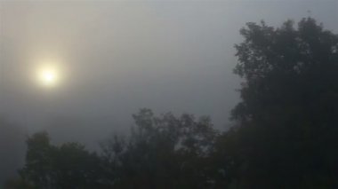 Sonbahar havası. Sahada yoğun sis