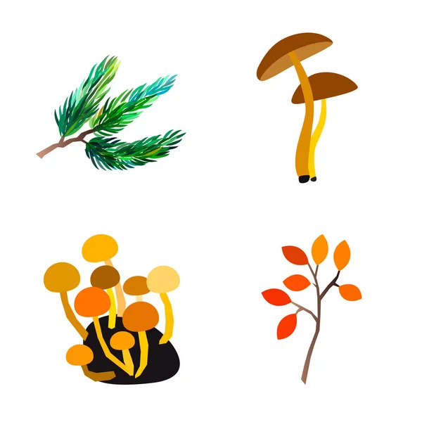 Осінній векторний набір з листям і грибами. Сезонна колекція осені . — стоковий вектор