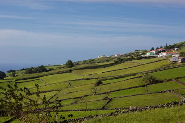 Prados verdes e casas da ilha Terceira. Um dos Açores está localizado no Oceano Atlântico . — Fotografia de Stock