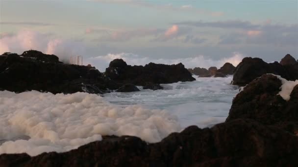 Lava kövek a strandon Piscinas Naturais Biscoitos. Atlanti-óceán. Terceira Azori-szigetek, Portugália. — Stock videók