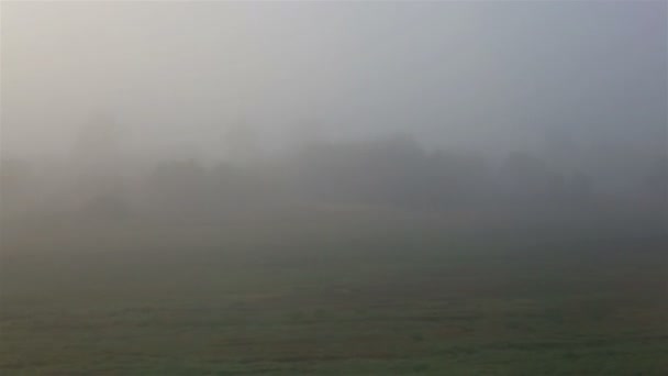 Herbstwetter. Dichter Nebel auf dem Feld — Stockvideo