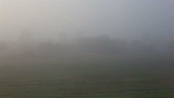 Météo automnale. Brouillard dense sur le terrain