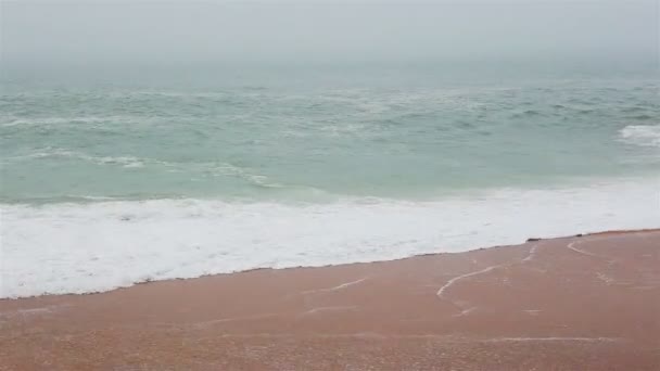 Morze i piaszczysta plaża w gęstej mgle, jesienny dzień — Wideo stockowe