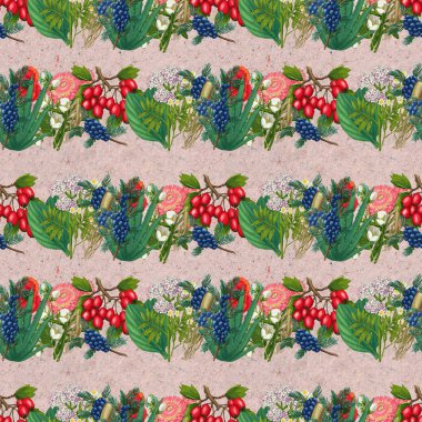 El yapımı şifalı bitkiler pürüzsüz. Şifalı bitkiler kağıt üzerine çizim yapıyor..