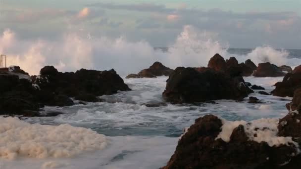 Lava kövek a strandon Piscinas Naturais Biscoitos. Atlanti-óceán. Terceira Azori-szigetek, Portugália. — Stock videók