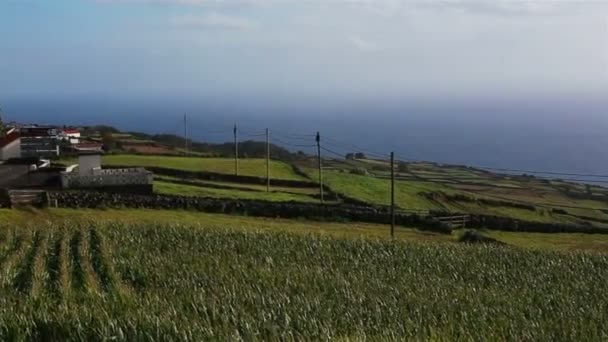 Зеленые луга и дома острова Терсейра. Один из Азорских островов расположен в Атлантическом океане . — стоковое видео
