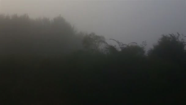 Φθινοπωρινό. Πυκνή ομίχλη στο πεδίο — Αρχείο Βίντεο