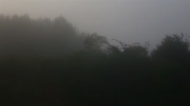 Météo automnale. Brouillard dense sur le terrain