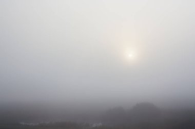 Sonbahar havası. Sahada yoğun sis