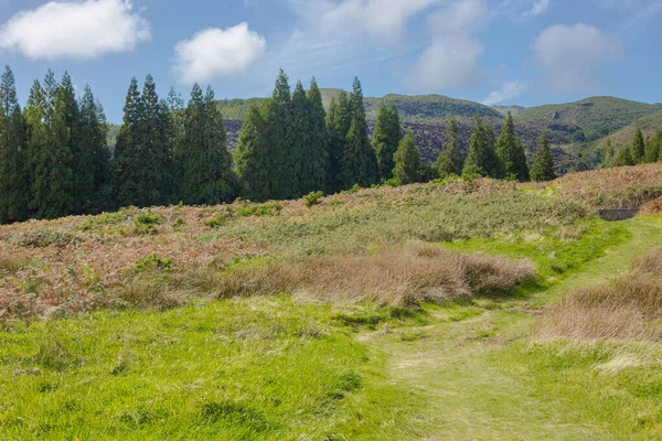 Wzgórza nad polami. Wyspa Terceira na Azorach z błękitnym niebem i chmurami. — Zdjęcie stockowe