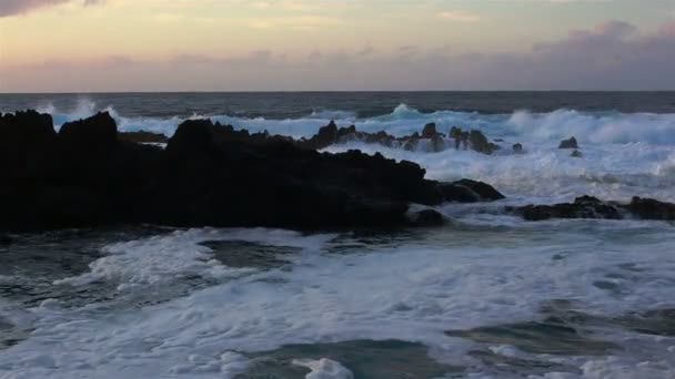 Lava πέτρες στην παραλία του Πισινά Naturais Biscoitos. Ατλαντικός. Terceira Azores, Πορτογαλία. — Αρχείο Βίντεο