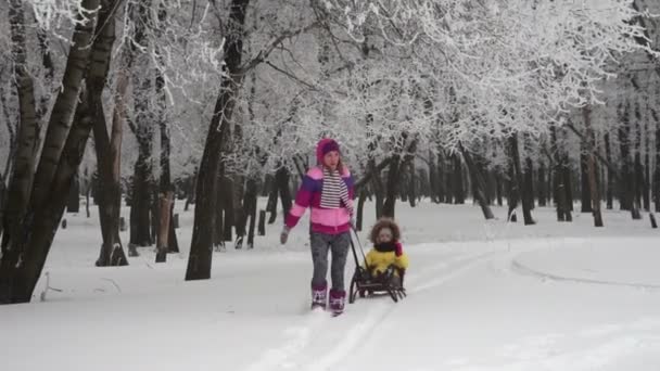 Η μητέρα είναι το τράβηγμα το έλκηθρο την κόρη του σε ένα δάσος του χειμώνα — Αρχείο Βίντεο